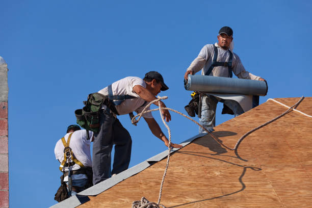 Best Shingle Roofing Installation  in Barberton, OH